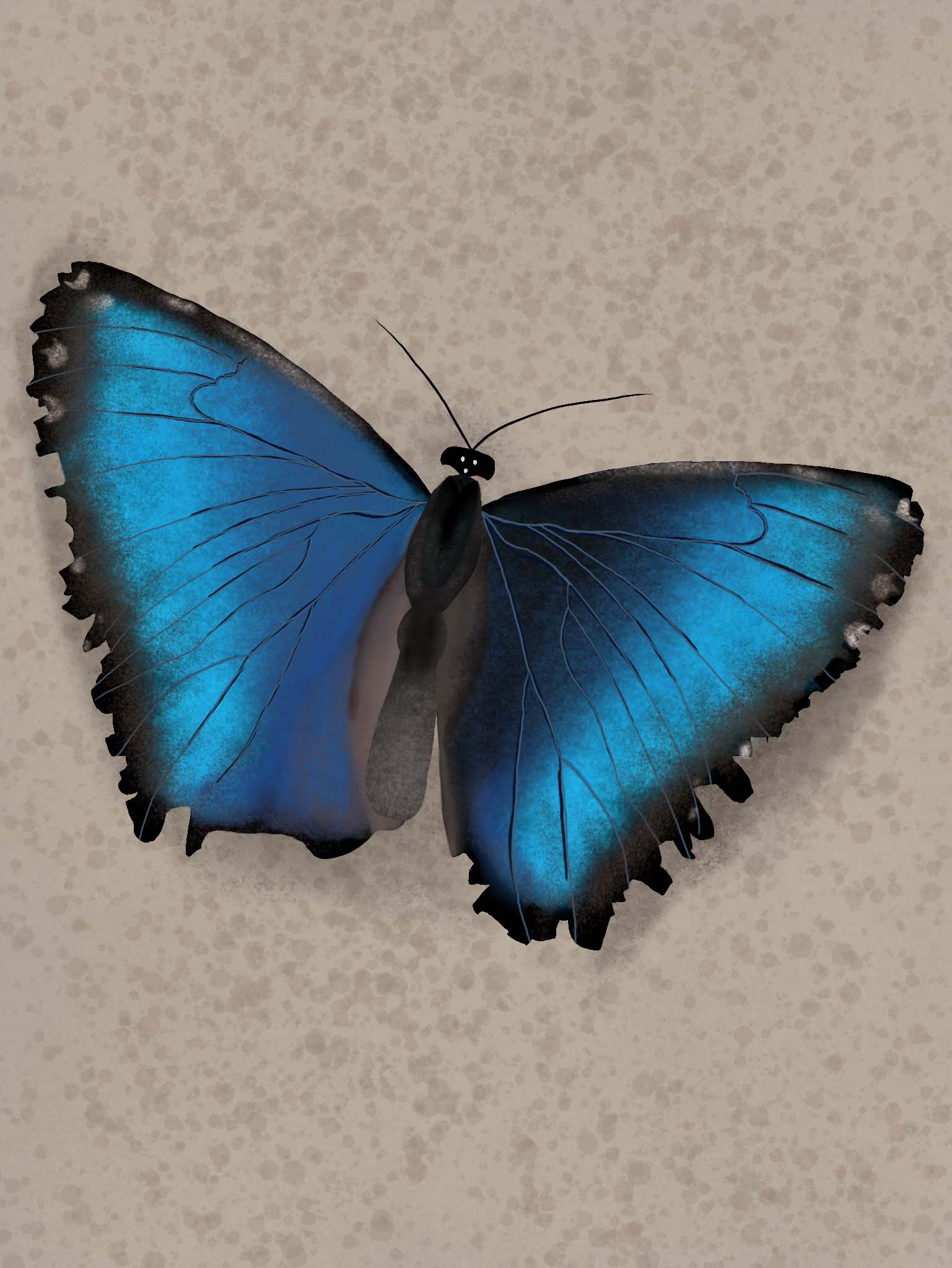 Blue Butterfly Artwork